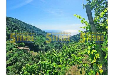 Rustico / Casale di 40 m² con 2 locali a Riomaggio