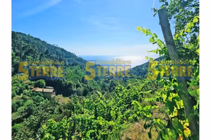Rustico / Casale di 40 m² con 2 locali a Riomaggio