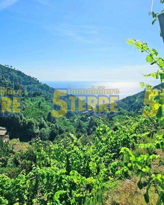 Rustico / Casale di 40 m² con 2 locali a Riomaggio