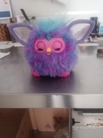 furbi