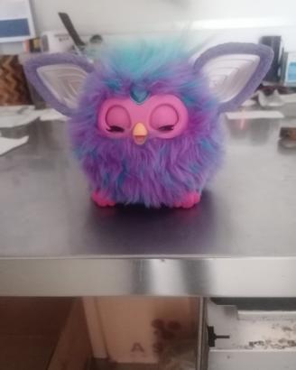 furbi