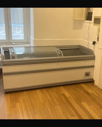 Congelatore industriale da bar / ristorante