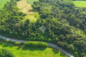 TER. AGRICOLO A MUSCOLINE