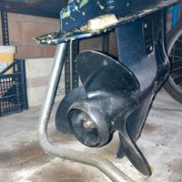 Evinrude 25 CV 2T – poco usato – gira a mano – da