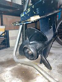 Evinrude 25 CV 2T – poco usato – gira a mano – da