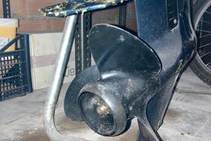 Evinrude 25 CV 2T – poco usato – gira a mano – da