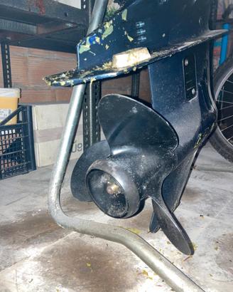 Evinrude 25 CV 2T – poco usato – fermo da 20 anni