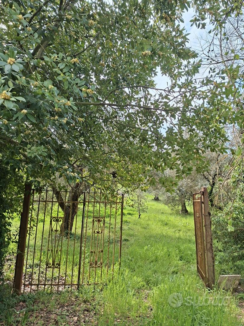 Terreno agricolo - Vista 6