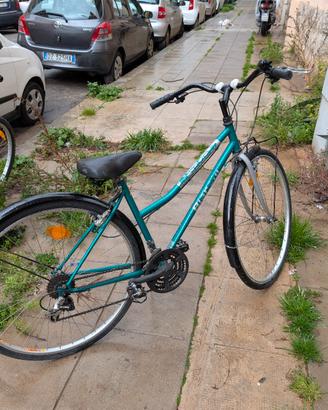 bicicletta da passeggio bianchi donna 