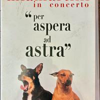 Mia Martini «Per aspera ad astra» dvd