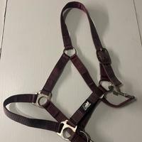Capezza Equitazione
