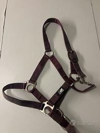 Capezza Equitazione