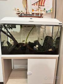 Acquario Zolux 60 litri + mobile – €100
