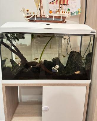 Acquario Zolux 60 litri + mobile – €100