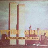 Stampa World Trade Center Twin Towers Torri Gemell