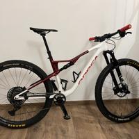 Orbea oiz