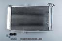 radiatore-triumph-tiger-800-2011-2020