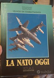 La Nato oggi. Veicoli da combattimento.