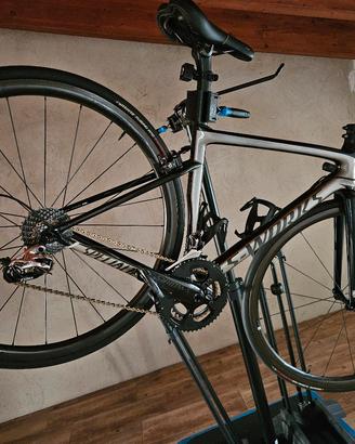 sworks tarmac sl6 rim tg.49 Peter Saga