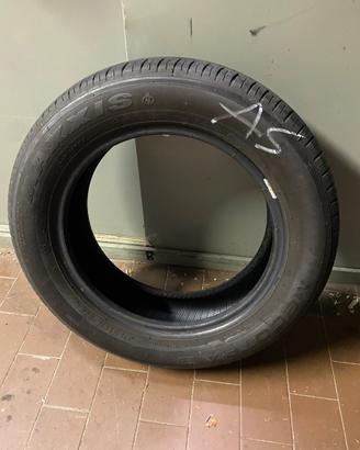 Gomme estive