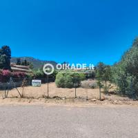 Poggio dei Pini - Lotto edificabile panoramico