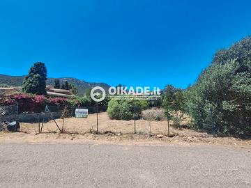 Poggio dei Pini - Lotto edificabile panoramico