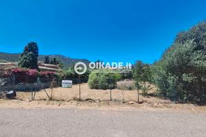 Poggio dei Pini - Lotto edificabile panoramico