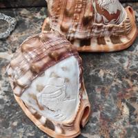 coppia di cameo incise su conchiglie d'epoca   