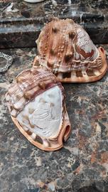 coppia di cameo incise su conchiglie d'epoca   