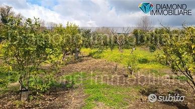 Terreno agricolo 14.000 mq a giarre
