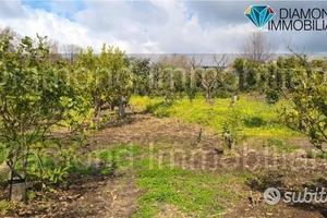 Terreno agricolo 14.000 mq a giarre