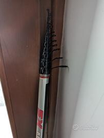 bolognese Milo morphing xs 