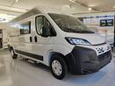 chausson-sport-line