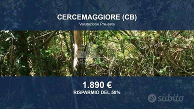 Immobile in asta di 1124 m² a Cercemaggiore