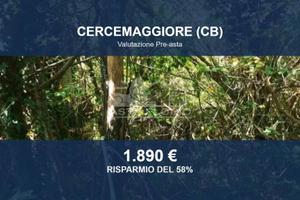 Immobile in asta di 1124 m² a Cercemaggiore