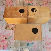 Nido casetta per pappagalli inseparabili uccelli