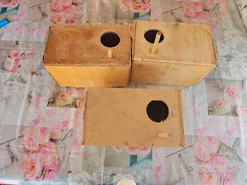 Nido casetta per pappagalli inseparabili uccelli