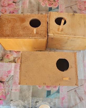 Nido casetta per pappagalli inseparabili uccelli