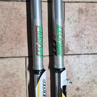 Forcelle Wp Act Wp48 