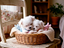 Immagine 27