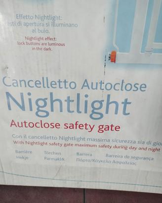 CANCELLO AUTOCLOSE 