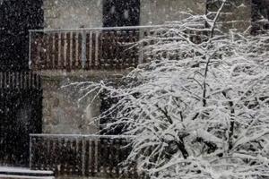 Stagione invernale 