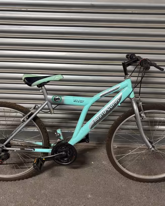 Bicicletta mountain bike