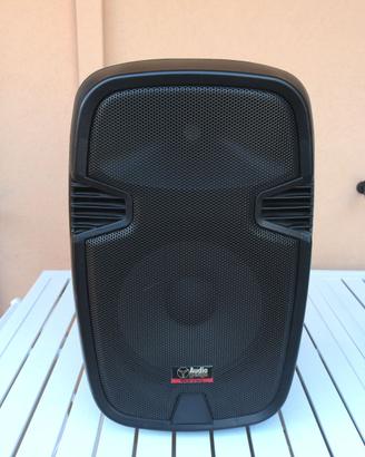 Audiodesign Pro PAX 1-12WL