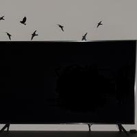 tv samsung 50 pollici