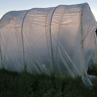 Piccola serra a tunnel per orto