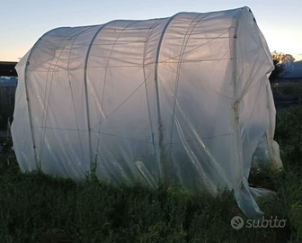 Piccola serra a tunnel per orto