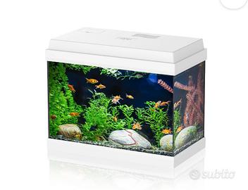 Acquario 30 litri