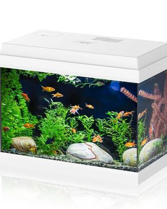 Acquario 30 litri