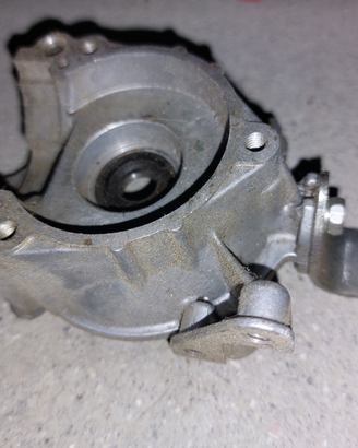 Carter coperchio mot decespugliatore kawasaki tg24